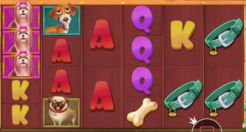 The Dog House Megaways video slots format